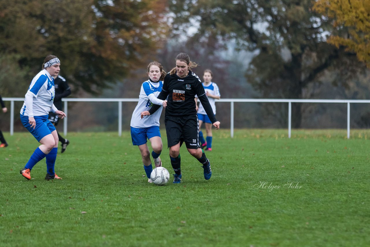 Bild 252 - Frauen SV Henstedt Ulzburg III - Bramstedter TS : Ergebnis: 1:0